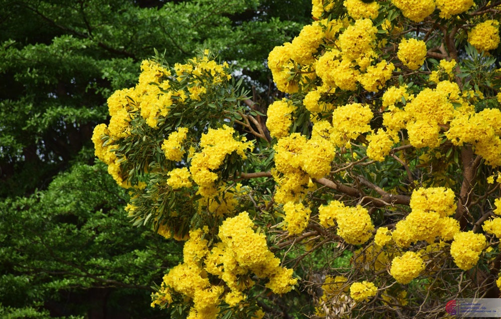 photo16.jpg