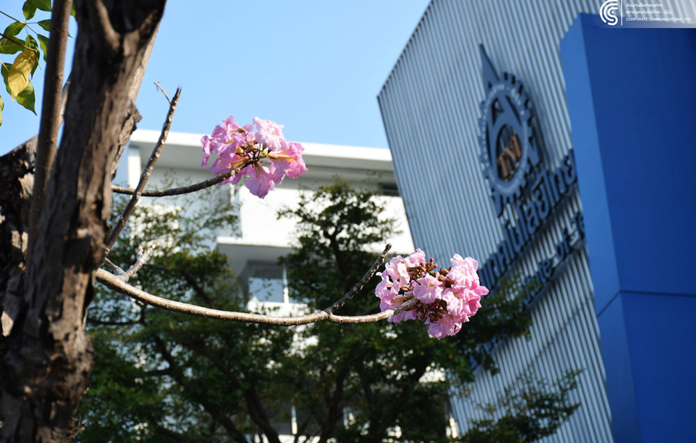 photo5.jpg