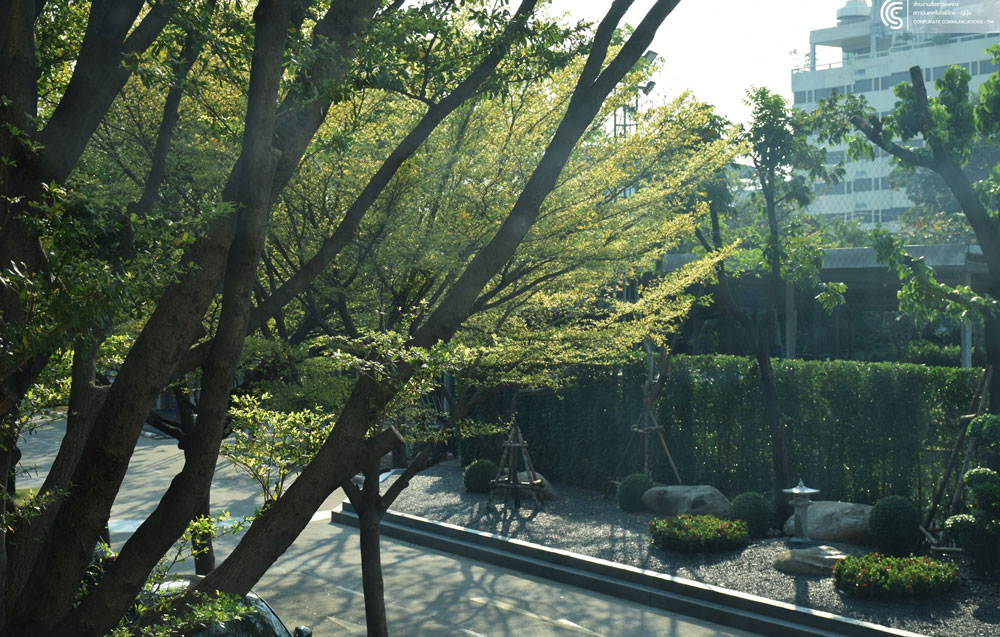 photo9.jpg