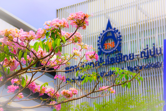 配属機関のHPです